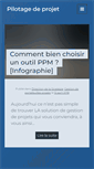 Mobile Screenshot of pilotagedeprojet.com